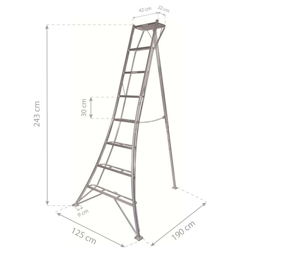 Diagramm, Handlung