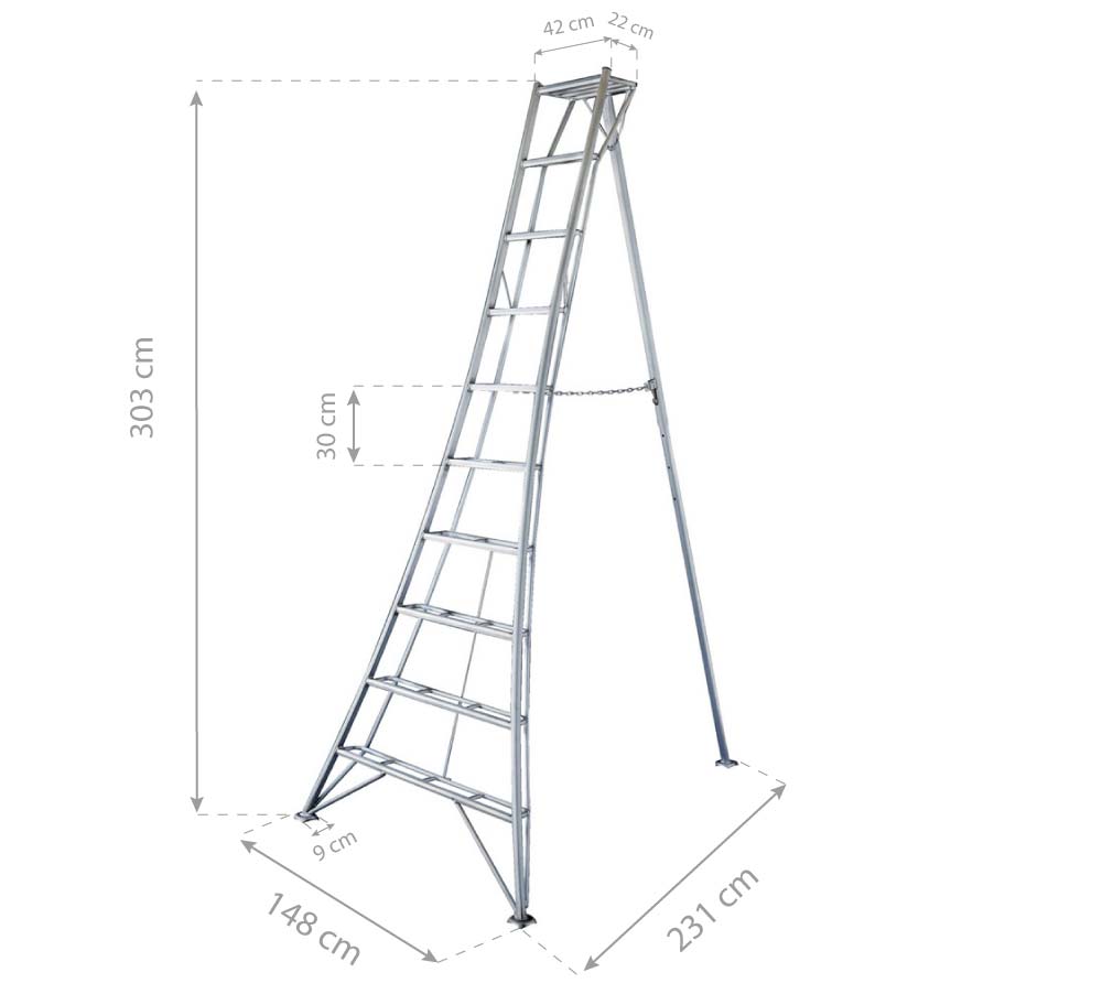 Diagramm, Handlung