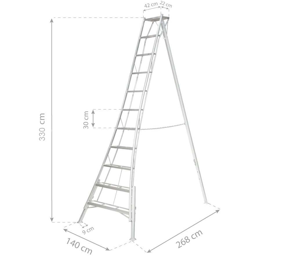 Diagramm, Handlung