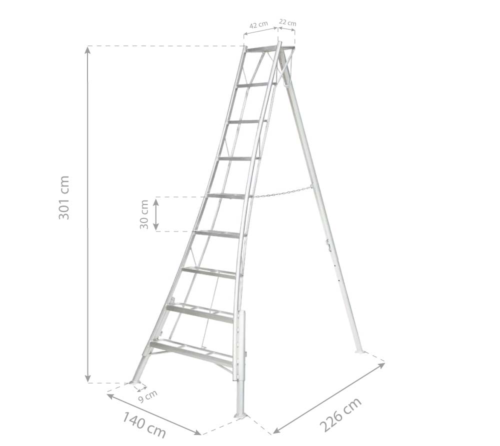 Diagramm, Handlung