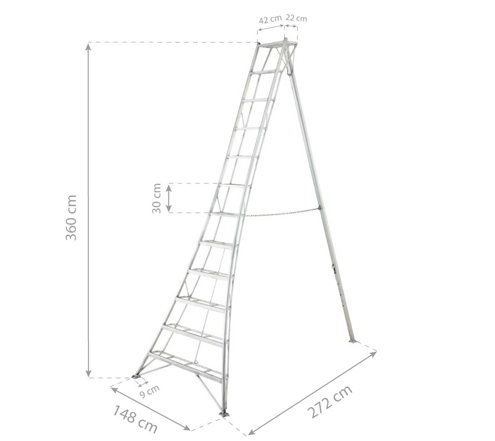 Diagramm, Handlung